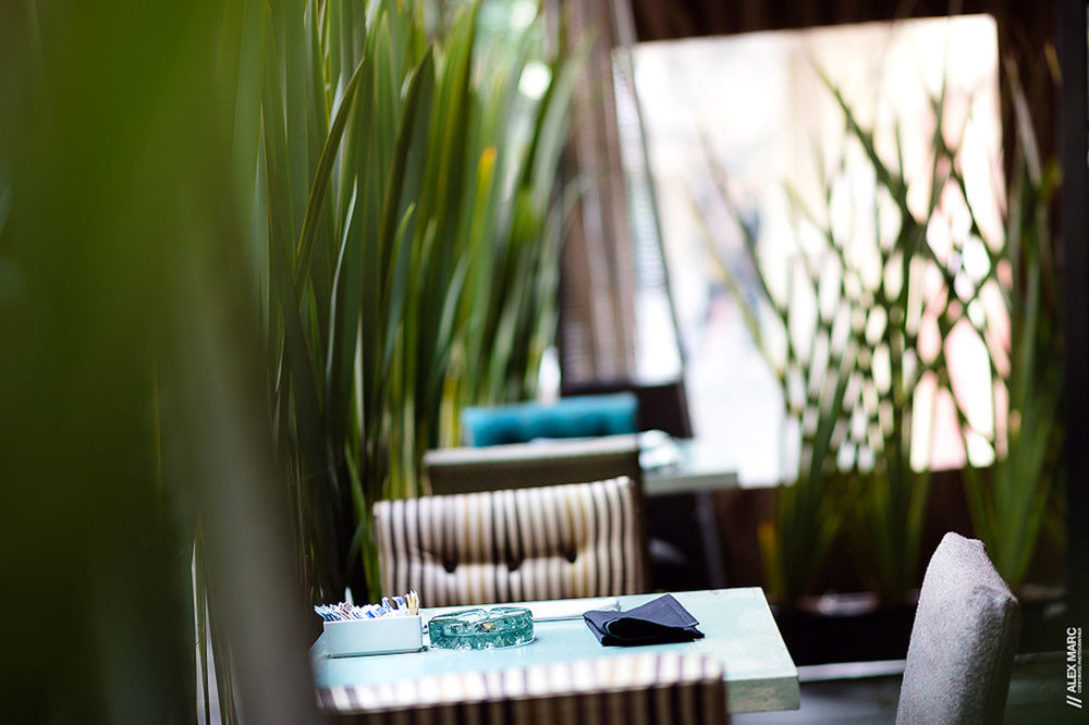 Maria Condesa (adults Only) 4* Mexico City
